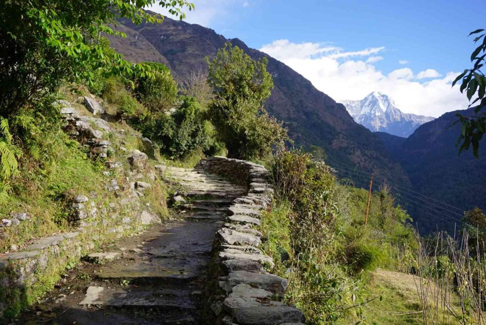 Pokhara: 4 Day Poon Hill Trek - Preparation Tips