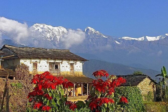 Pokhara: Guided Tour to Visit 5 Himalayas View Point - Annapurna Range Panorama