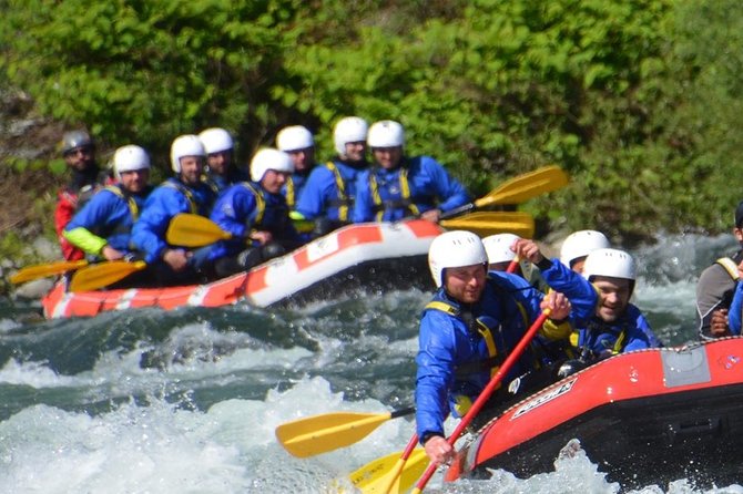 The Joy of Rafting in Trishuli River - Day Tour - Reviews and Ratings