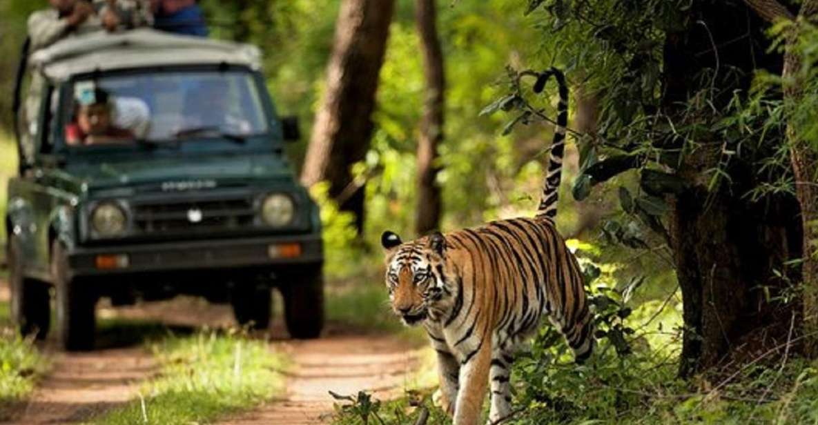 Wonders of Wildlife: 4-Day Chitwan National Park Tour - Cultural Immersion