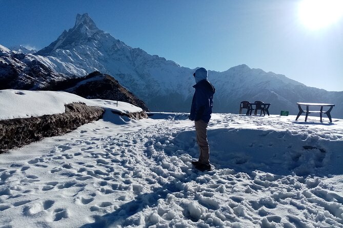 4 Days Private Mardi Himal Base Camp Trek - Just The Basics