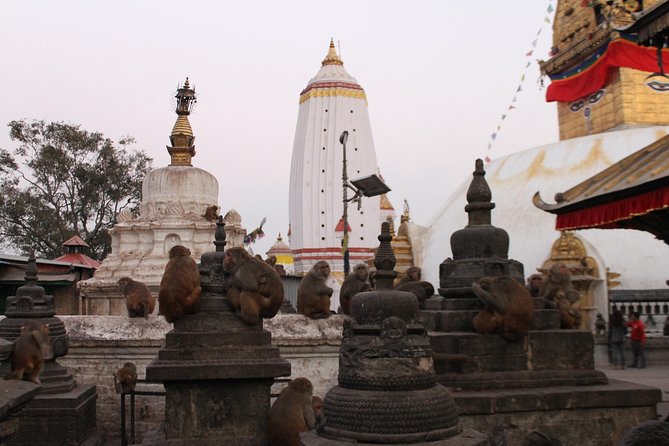 1 Day Kathmandu World Heritage Guided Tour Group Join - Pricing and Booking Information