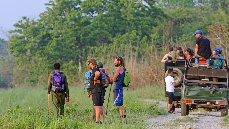 1 Night 2 Day Chitwan Jungle Safari Tour - Frequently Asked Questions