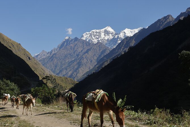 15 Days Manaslu Circuit Trek - Meals and Refreshments