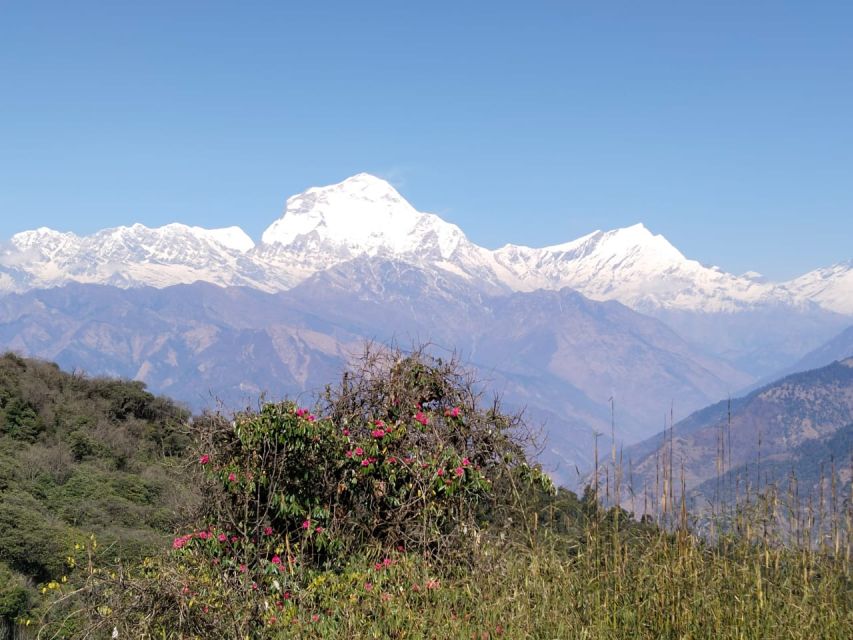 3 Nights 4 Days Poon Hill Trek With Hot Springs Trek - Packing List and Recommendations