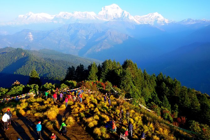 5 Days Ghorepani Poonhill Sunrise Trek - Reviews and Ratings