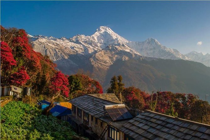 Annapurna Khopra Ridge - Reviews and Ratings