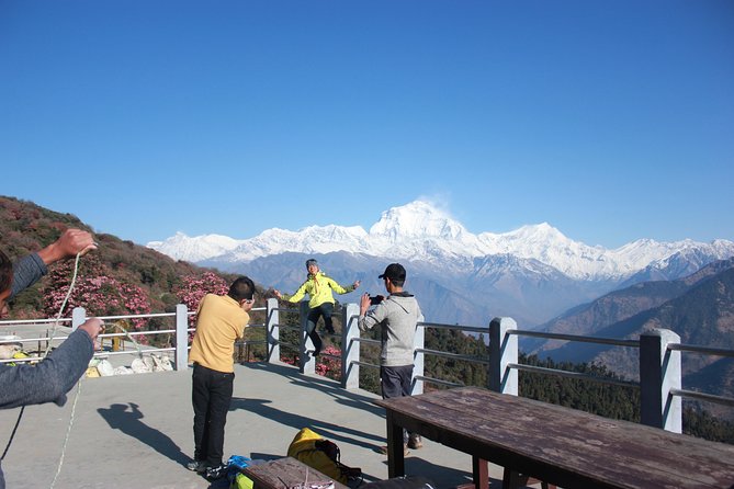 Annapurna Poon Hill Trekking - 4 Days From Pokhara - Key Highlights of the Trek