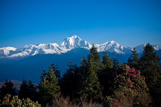 Best Short Mardi Himal Trek From Pokhara - 5 Days - Important Reminders and Policies