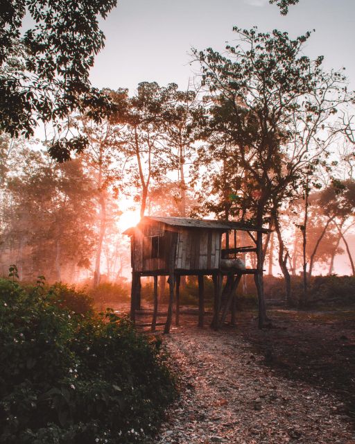 Chitwan:2 Night 3 Days Jungle Safari Adventure Tour - Common questions