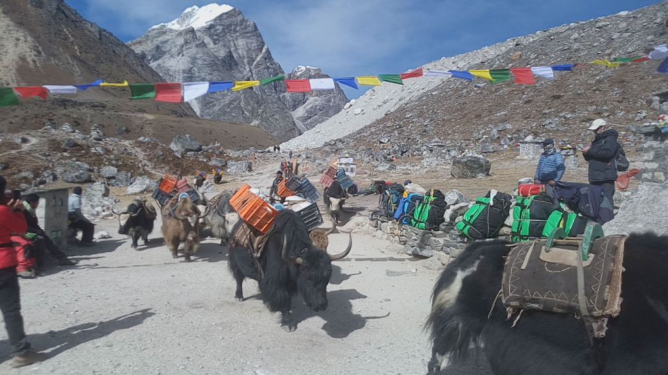 Everest Base Camp Trek - Inclusions