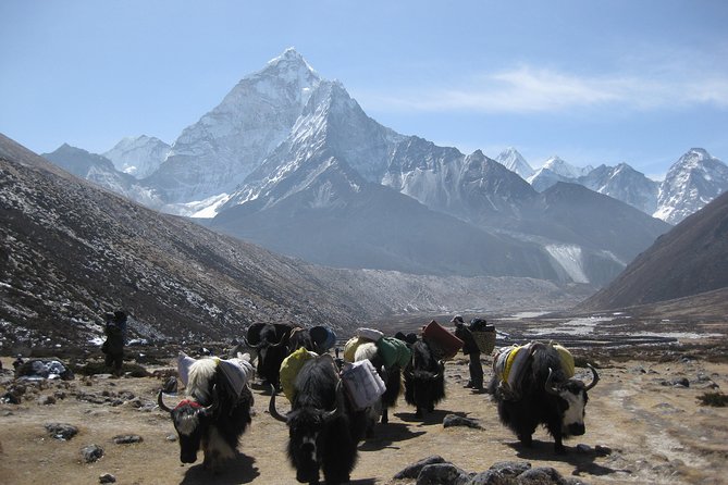 Everest Three (High) Passes Trekking - Acclimatization and Altitude Sickness Management