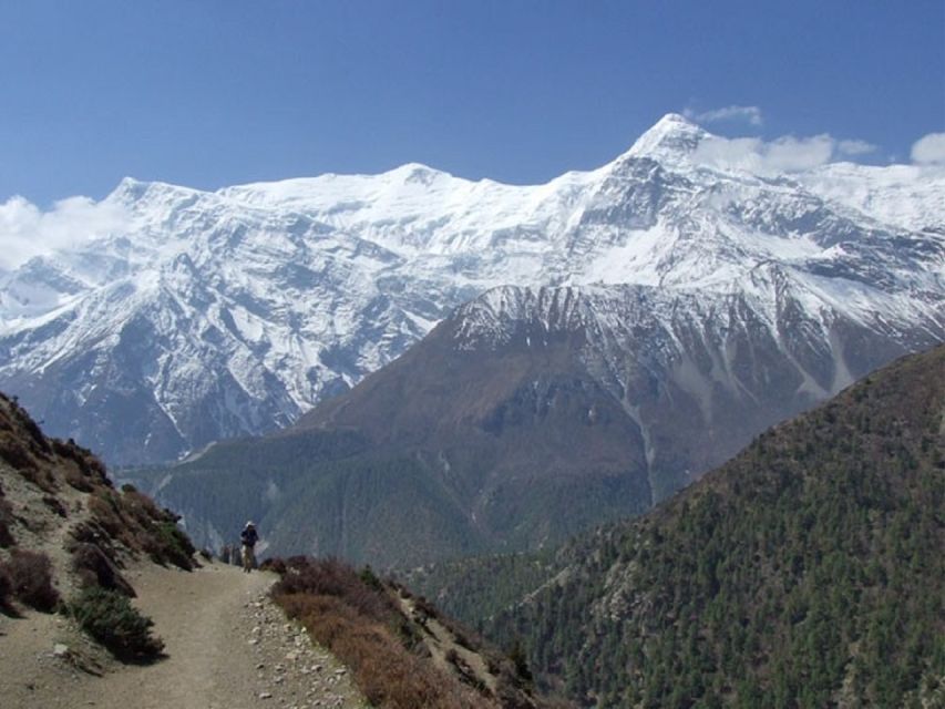 From Pokhara: 4-Day Private Trek With Food & Accommodation - Trek Inclusions