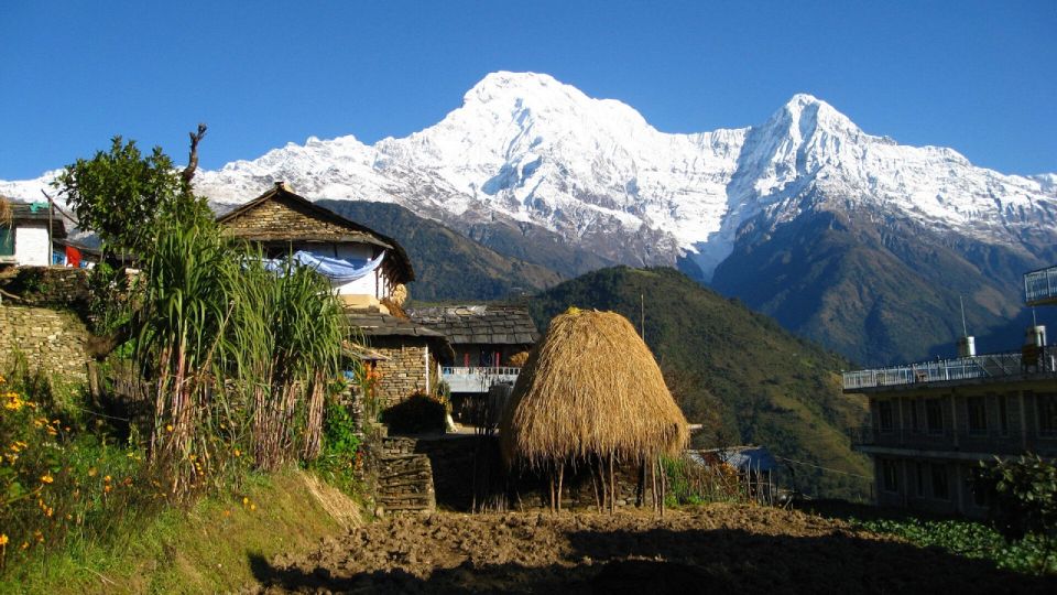 From Pokhara: Guided Tour to Visit 4 Himalayas View Point - Peaceful Stupa & Spiritual Reflection