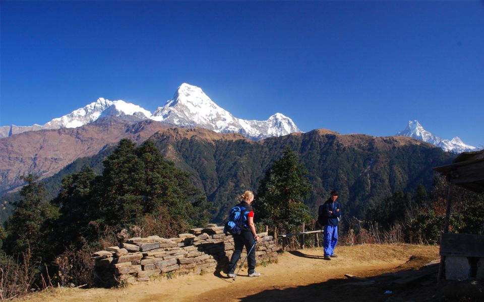 Mardi Himal Base Camp Yoga Trek 7-Day - Itinerary Details