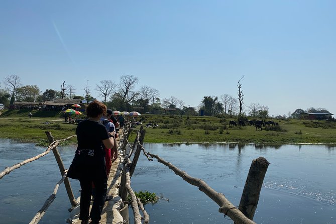 Nature Walk in Chitwan Jungle Safari With Guide - Copyright and Terms Overview