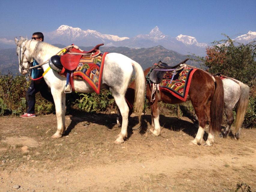 Pokhara: 2.5-Hour Horse-Pony Ride in Nature - Common questions