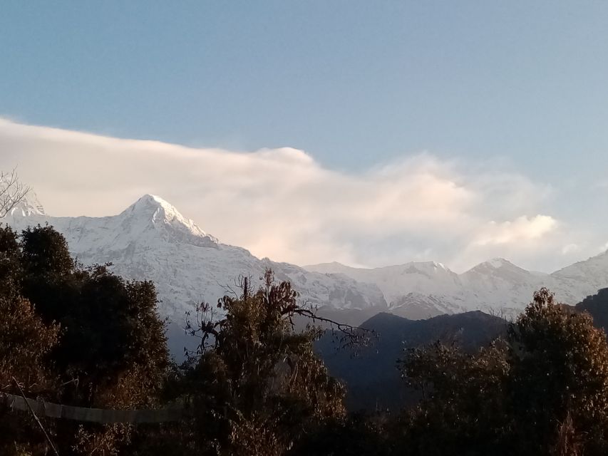 Pokhara: 4-Day Private Annapurna Poon Hill Trek - Directions