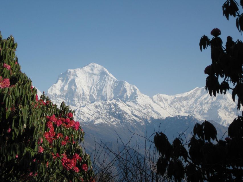 Pokhara: 4-Day Trek to Ghorepani Poon Hill and Ghandruk - Cultural Immersion