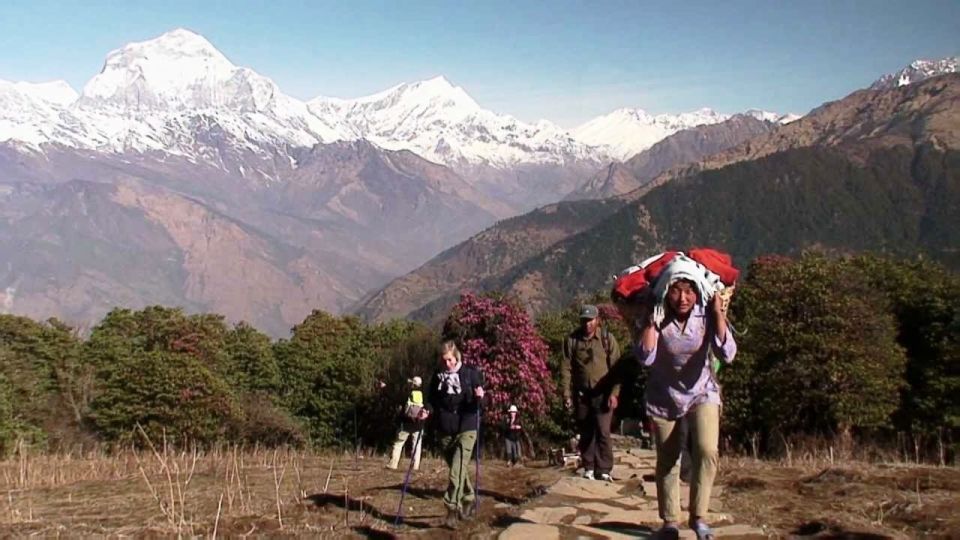 Pokhara: Private Pool Hill Trek With Accommodation and Meals - Inclusions