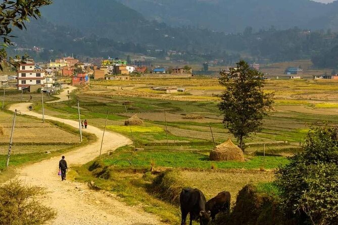 Sacred Footsteps: The Namobuddha-Panauti Day Hike Experience - Historical Landmarks Visited