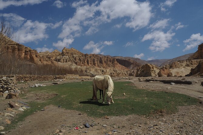 Upper Mustang Trek - Price and Booking Information