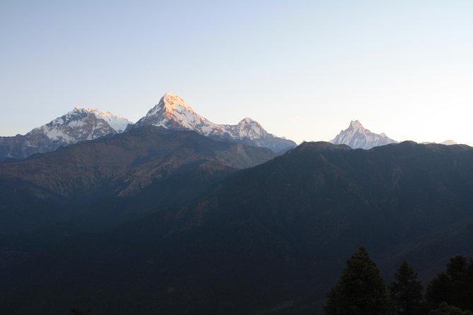 5-Day Ghorepani Poon Hill Trek in Annapurna Region - Just The Basics