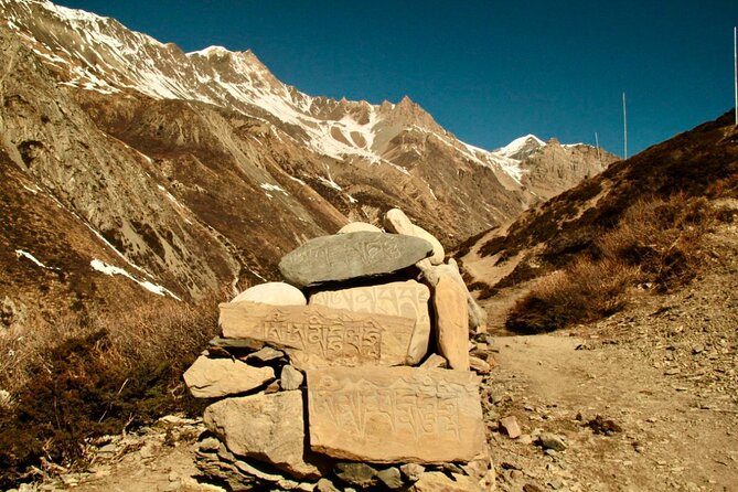 12 Days Annapurna Circuit Trek - Food and Meal Options