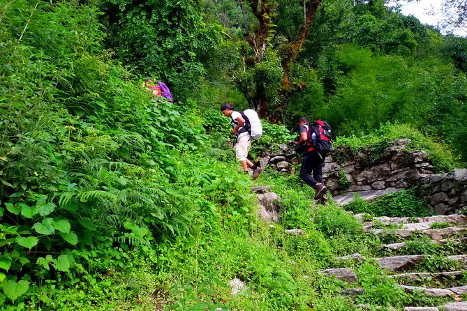 5 Days Ghorepani Poonhill Sunrise Trek - Pricing and Booking Details