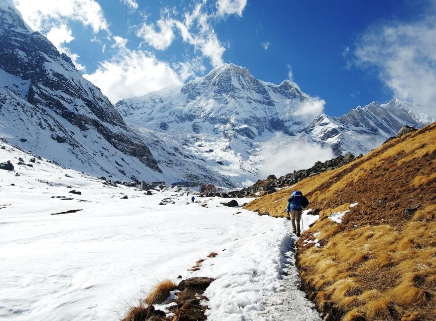 Annapurna Base Camp Trek - Trekking Environment and Terrain Insights