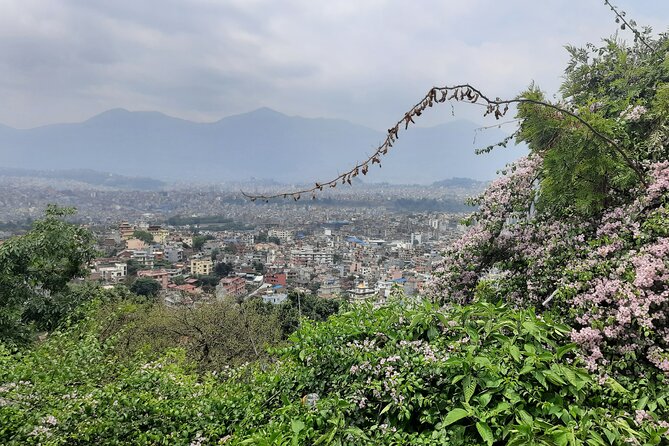 Chandrigiri Hill Cable Car and Monkey Temple Tour - Booking and Reservation Details