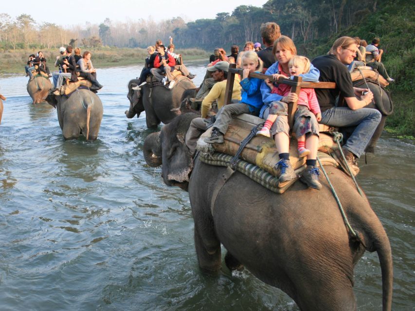 Chitwan Jungle Safari Tour: 3-Day Chitwan National Park Tour - Last Words
