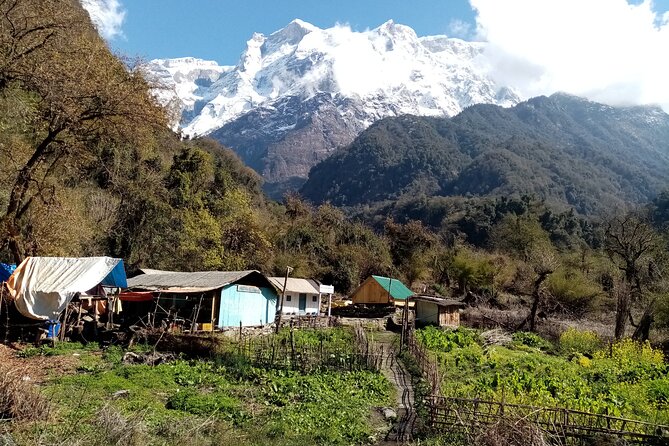 Exciting Kaupche Glacier Lake Very Short Trek From Pokhara Nepal - Final Words