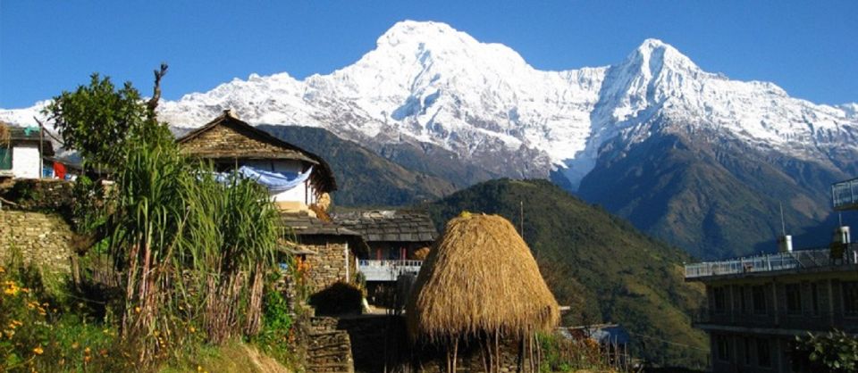 From Pokhara: 2-Day Scenic Australian Camp Trek - Pickup and Drop-off