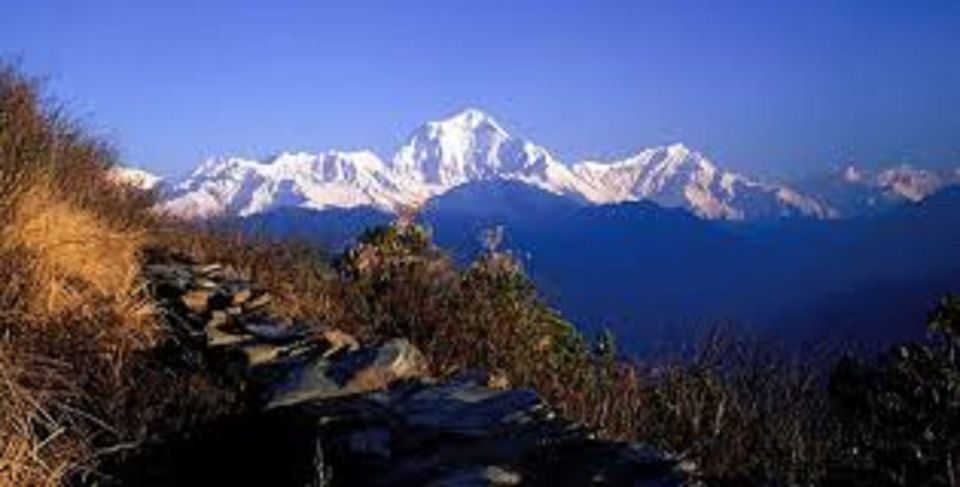 From Pokhara: 3 Day Amazing Ghandruk Poon Hill Trek - Last Words