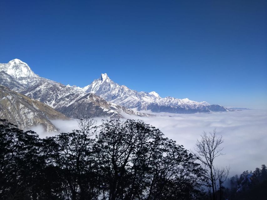 From Pokhara: 8 Nights 9 Days Khopra and Mardi Himal Trek - Safety Measures Implemented