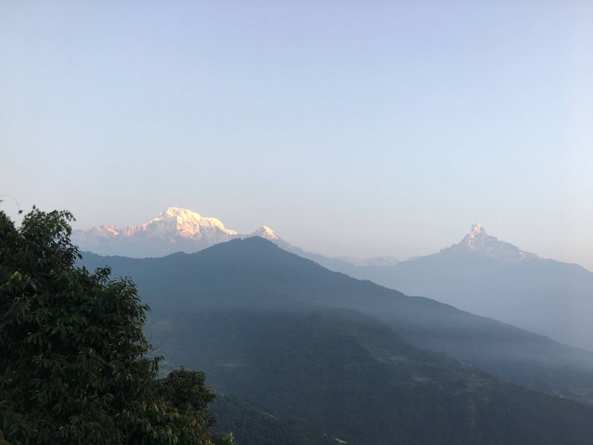 From Pokhara: Australian Camp to Annapurna Panorama Day Hike - Popular Tour Option
