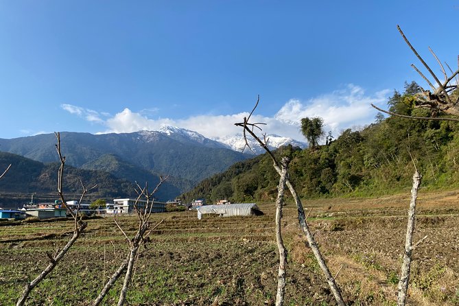 Gentle Walking Tour to Explore Nature in Pokhara - Frequently Asked Questions