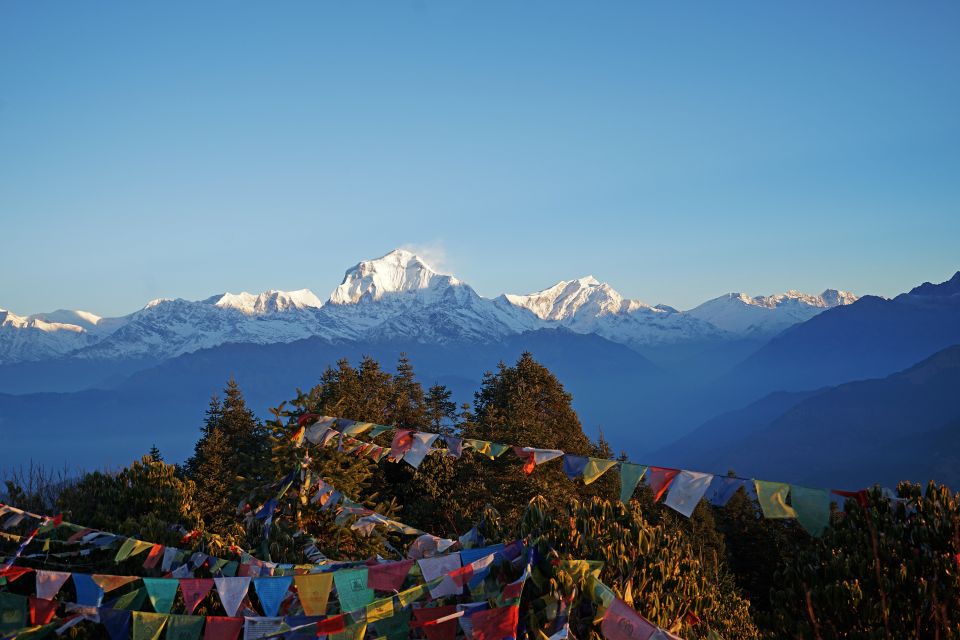 Ghorepani Poon Hill Trek: 4-Days Private Tour From Pokhara - Optional Meeting Points for Convenience