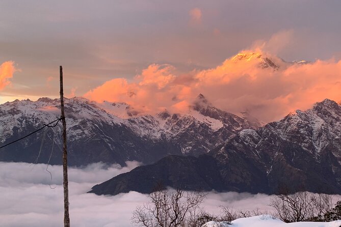 Mardi Himal Base Camp Trek - Pricing and Additional Information