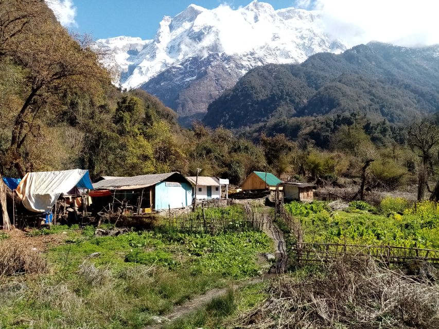Pokhara: 1 Night 2 Days Kapuche Glacier Lake and Sikles Trek - Adventure in the Himalayan Wilderness