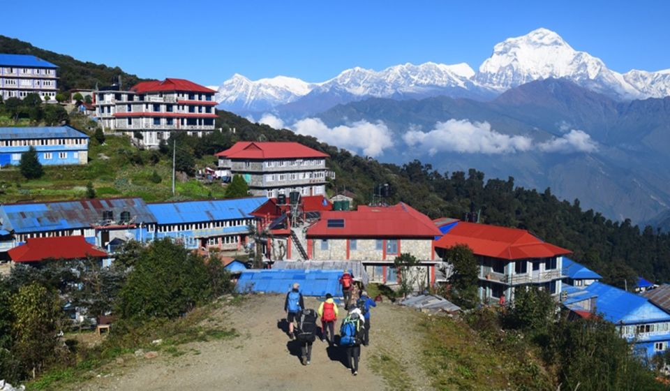Pokhara: Private Pool Hill Trek With Accommodation and Meals - Exclusions
