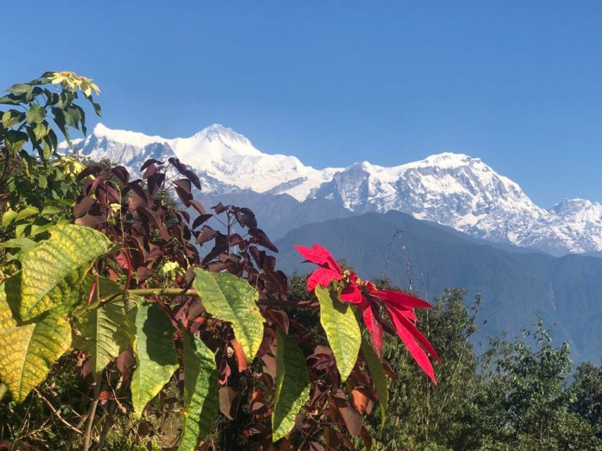 Pokhara: Sunrise Tour to Sarangkot - Directions