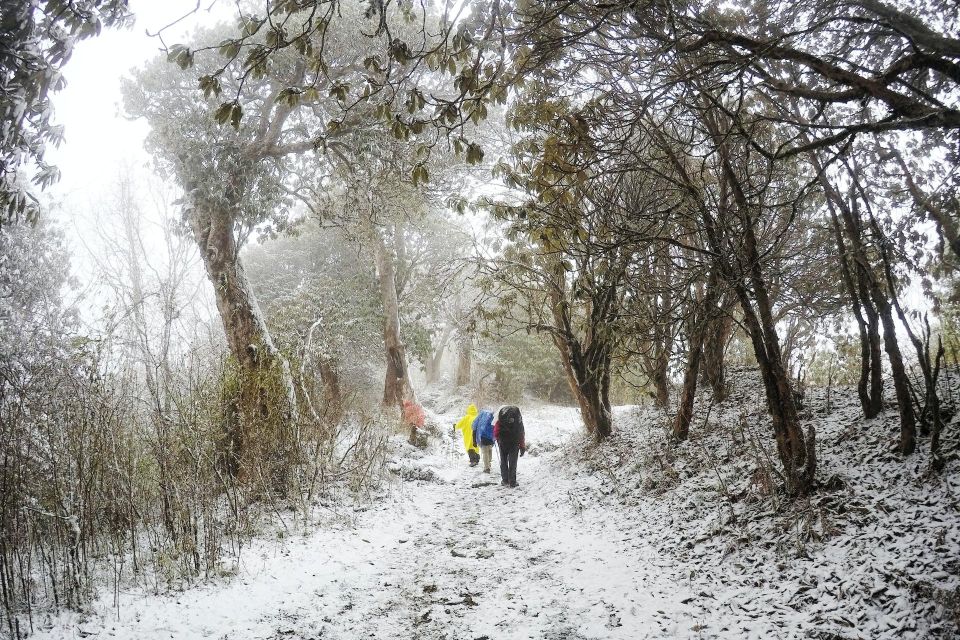 Annapurna Base Camp Trek via Poon Hill - 13 Days - The Sum Up