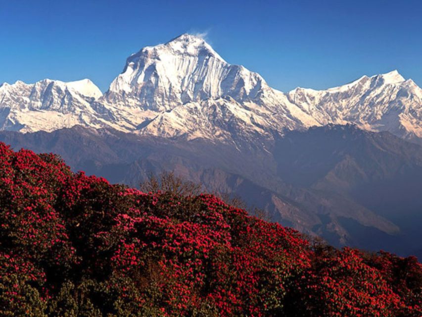 From Kathmandu: 5 Day Poon Hill and Ghandruk Guided Trek - Frequently Asked Questions
