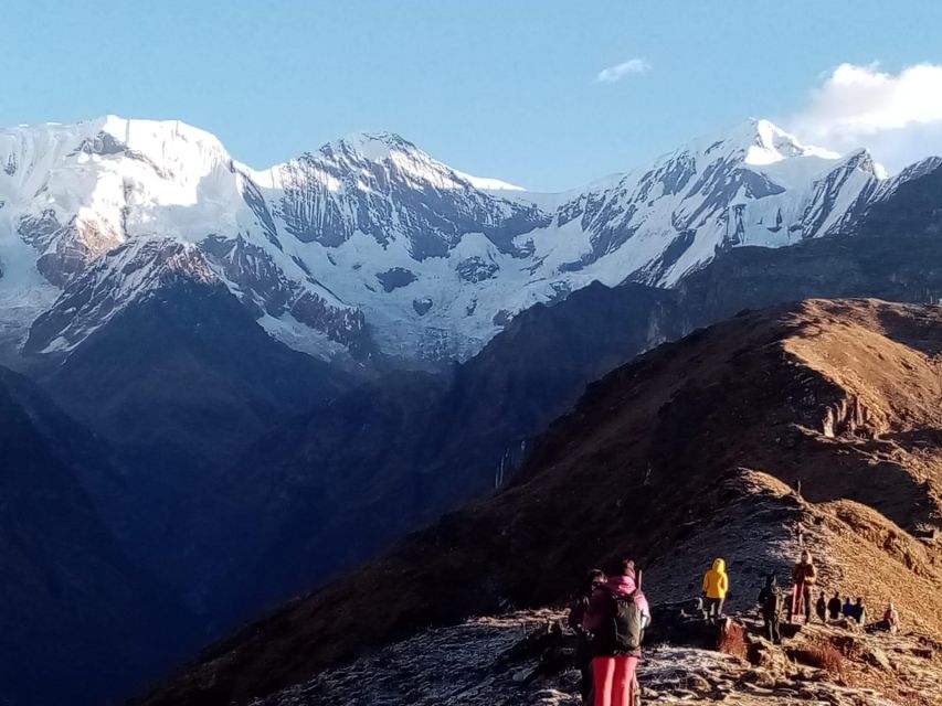 From Pokhara: 4 Days Mardi Himal Base Camp Trek - Accommodation Options