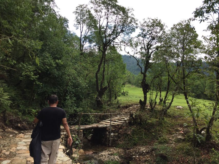 From Pokhara: Australian Camp to Annapurna Panorama Day Hike - Last Words