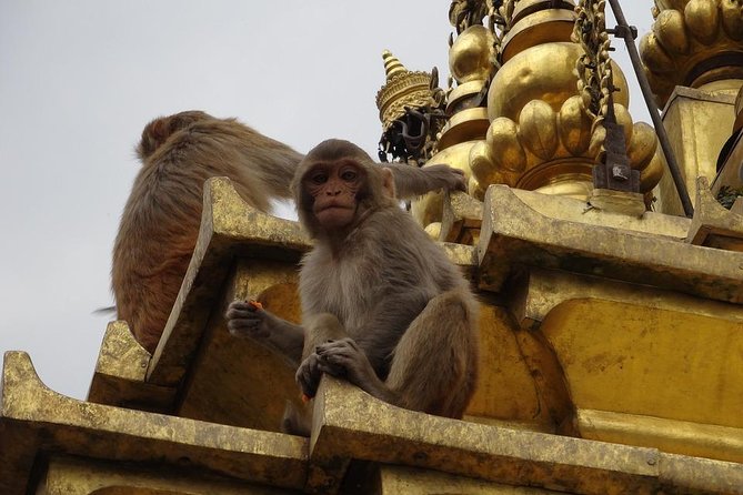 Half-Day Tour to Swoyambhunath Stupa - Important Reminders