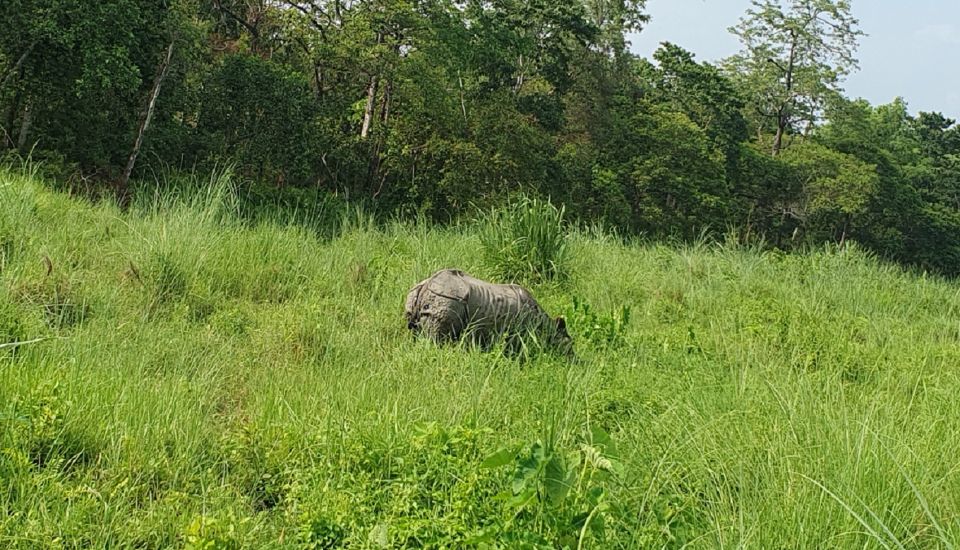 Nature Jungle Safari in Chitwan National Park 2 Night 3 Days - Last Words