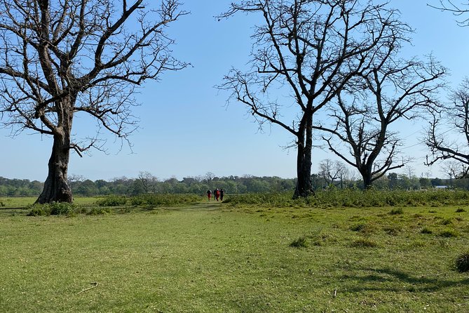 Nature Walk in Chitwan Jungle Safari With Guide - Frequently Asked Questions